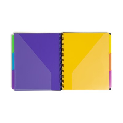 Smead 24-Pocket Poly Project Organizer with Multicolor Dividers, Gray (89206)