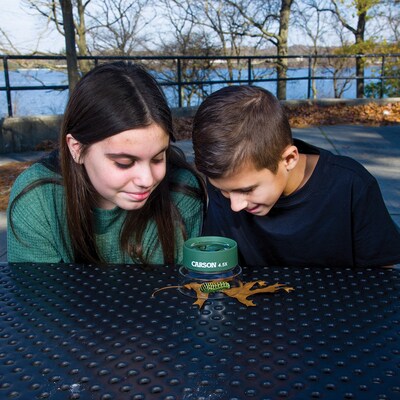 CARSON BugView Magnifier & Quick-Release Bug-Catching Tool with BugLoupe 4.5x Stand Magnifier (KITCSNMAG03)