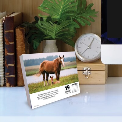 2026 Willow Creek What Horses Teach Us 6.2" x 5.4" Day-to-Day Calendar (54529)
