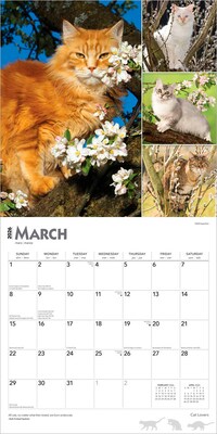 2026 BrownTrout Cat Lovers 12" x 12" Monthly Wall Calendar (9798330702787)
