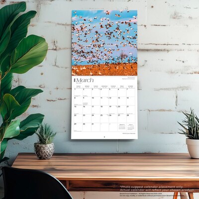 2026 BrownTrout Nebraska Wild & Scenic 12" x 12" Monthly Wall Calendar (9798330704811)