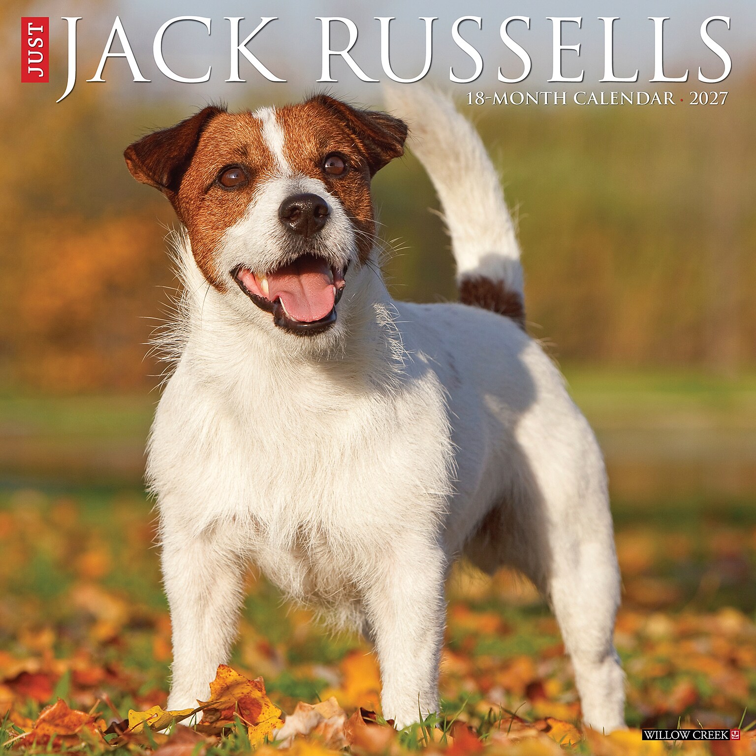 2027 Willow Creek Jack Russells 12 x 12 Monthly Wall Calendar (60834)