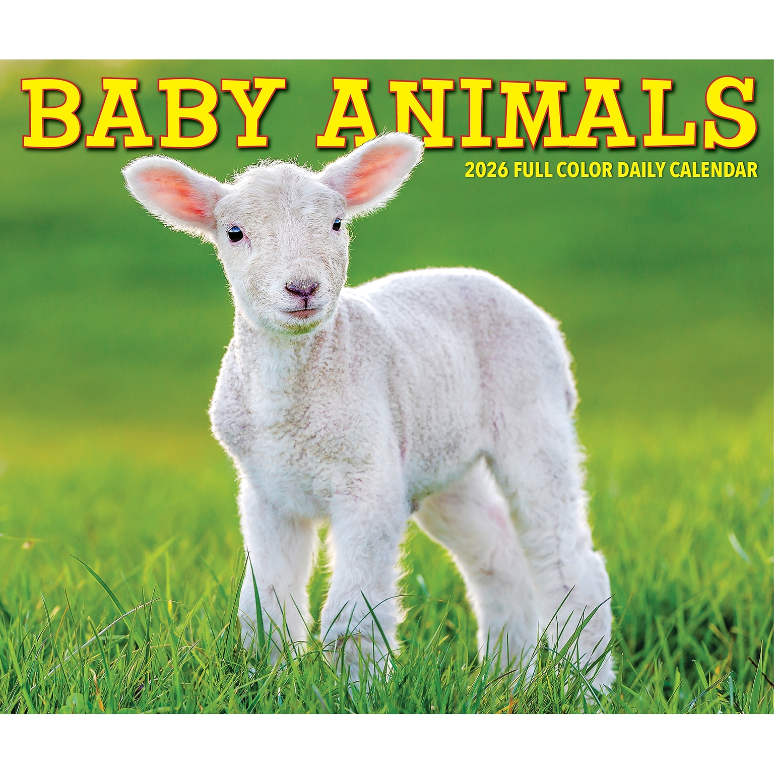 2026 Willow Creek Baby Animals 6.2 x 5.4 Day-to-Day Calendar (53928)