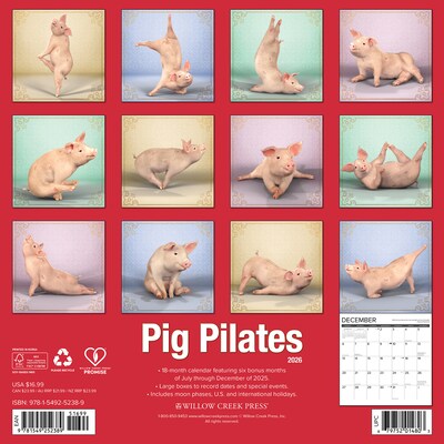 2026 Willow Creek Pig Pilates 12 x 12 Monthly Wall Calendar (52389)
