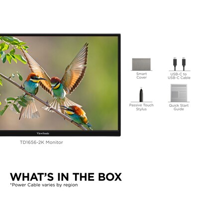 ViewSonic 16" 60Hz LED Monitor, Black (TD1656-2K)