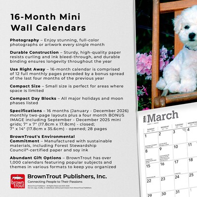 2026 BrownTrout Bichon Frise Puppies 7" x 7" Monthly Wall Calendar (9798330702428)