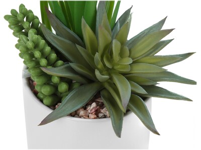 Monarch Specialties Inc. Succulents in Pots, 2/Pack (I 9588)