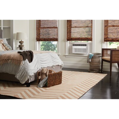 Frigidaire 115-Volt 6,000 BTU Window-Mounted Air Conditioner with Remote, White (FHWC064WB1)