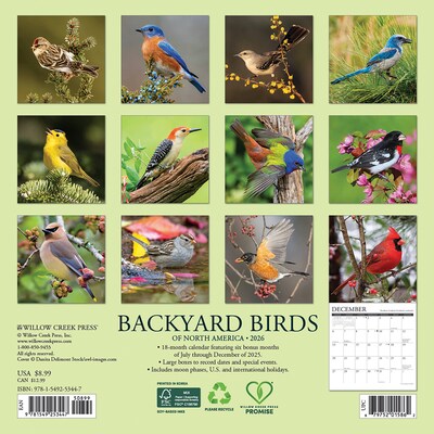 2026 Willow Creek Backyard Birds 7 x 7 Monthly Wall Calendar (53447)
