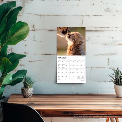 2026 BrownTrout Baby Animals 7" x 7" Monthly Wall Calendar (9798330702237)