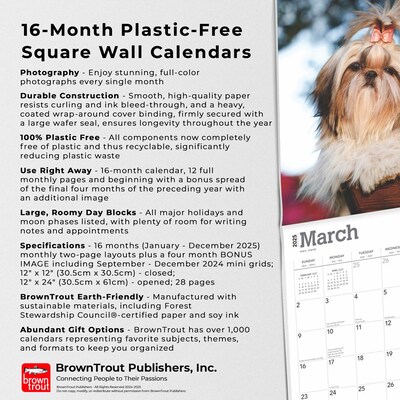 2025 BrownTrout Shih Tzu 12" x 12" Monthly  Wall Calendar (9781975477745)