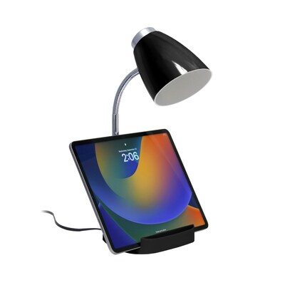 Creekwood Home 18.5" Flexible Gooseneck Organizer Desk Lamp with Stand, Black (CWD-1001-BK)
