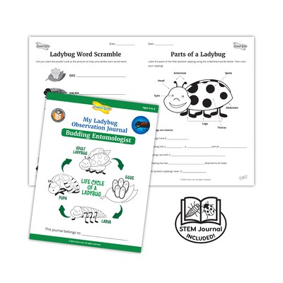 Insect Lore Ladybug Land Hatching Kit (ILP2100)