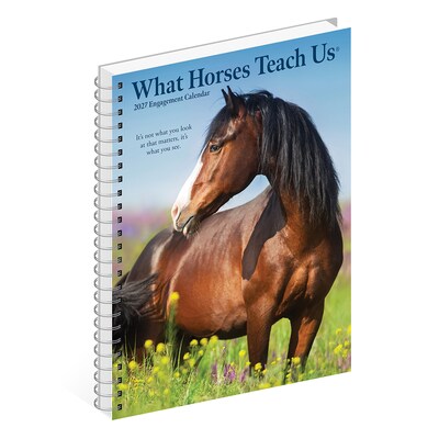 2027 Willow Creek What Horses Teach Us 6.5" x 8.5" Weekly & Monthly Desk Calendar (64474)
