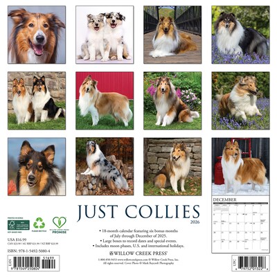 2026 Willow Creek Collies 12 x 12 Monthly Wall Calendar (50804)
