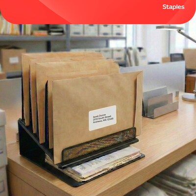 Staples Clasp & Moistenable Glue #10 Catalog Envelope, 9" x 12", Natural Brown, 100/Box (ST19964-CC)