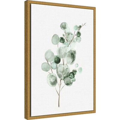 Amanti Art Tender Sprout II (Eucalyptus) by Eva Watts Framed Canvas Wall Art Print, 16" x 23" (A42675040761)