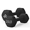 WeCare Fitness Neoprene Coated 20 Lbs Dumbbells for Non-Slip Grip,  2/Set (WFN100008)