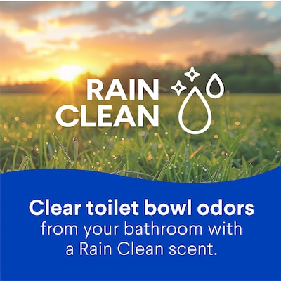 Clorox Disinfecting Toilet Bowl Cleaner with Bleach, Rain Clean Scent, 24 Oz., 2/Pack (00273)
