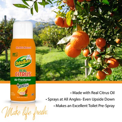 OdoBan Real Citrus Air Freshener Spray, 10 oz., Orange Scent (9793D70-10A)