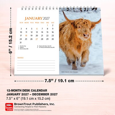 2027 BrownTrout Highland Cows 7.5" x 6" Monthly Wall Calendar, Assorted Colors (9798330716272)