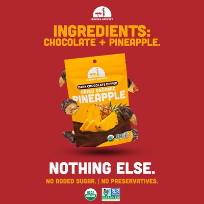 Mavuno Harvest Organic Dried Pineapple Dipped in Dark Chocolate Fruit Snacks, 1 lb. Bag (MAHW-CPNAPL1LB)