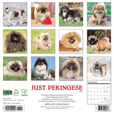 2025 Willow Creek Just Pekingese 12 x 12 Monthly Wall Calendar (44407)