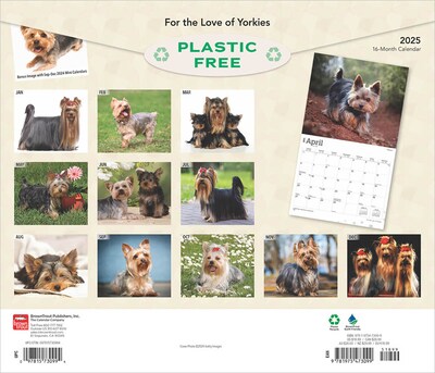 2025 BrownTrout For the Love of Yorkshire Terriers 7 x 12 Monthly  Wall Calendar (9781975473099)