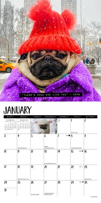 2027 Willow Creek Doug the Pug 7" x 7" Monthly Wall Calendar (64009)