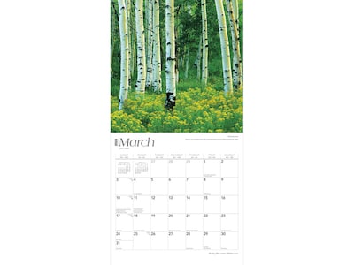 2024 BrownTrout Rocky Mountain Wilderness 12" x 12" Monthly Wall Calendar (9781975464806)