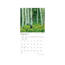 2024 BrownTrout Rocky Mountain Wilderness 12 x 12 Monthly Wall Calendar (9781975464806)