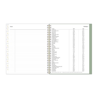2025-2026 Blue Sky Sincerely Jules Water Stripes 8" x 10" Academic Year Monthly Planner, Plastic Cover, Multicolored (155337)