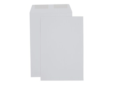 Staples 6 x 9 Economy Catalog Envelopes, White Wove, Gummed Flap Seal, Lightweight Document Mailers, 250/Box