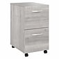 Bush Business Furniture Studio A 2-Drawer Mobile Vertical File Cabinet, Letter/Legal Size, Lockable, Platinum Gray(SDF116PGSU-Z)