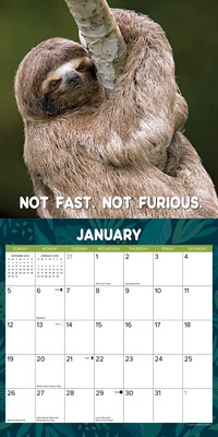 2025 Willow Creek Sloth Mode 12" x 12" Monthly Wall Calendar (44933)