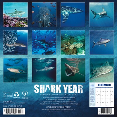 2026 Willow Creek Shark Year 12 x 12 Monthly Wall Calendar (52747)