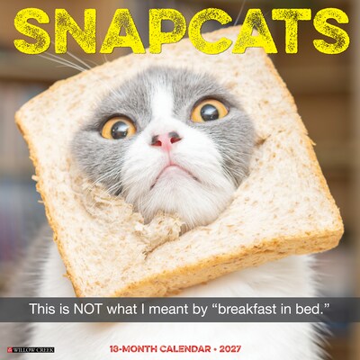 2027 Willow Creek Snapcats 12 x 12 Monthly Wall Calendar, Assorted Colors (62401)