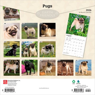 2026 BrownTrout Pugs 12 x 12 Monthly Wall Calendar (9798330705238)