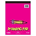 Roaring Spring Paper Products Drawing Sketch Pad, 9X12, 40 Sheets, 12/Pack (52505CS)