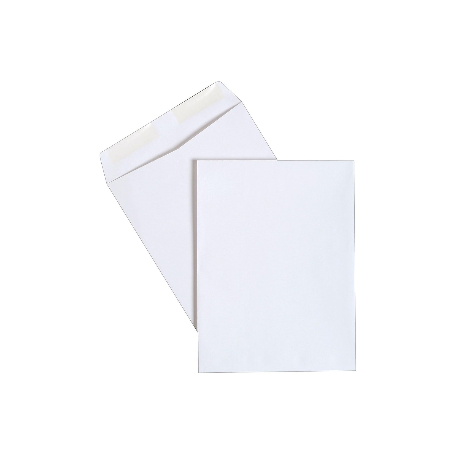 Staples 9 x 12 Gummed Catalog Envelopes, White Wove, Strong Adhesive Flap, Durable Mailing Envelopes, 250/Box