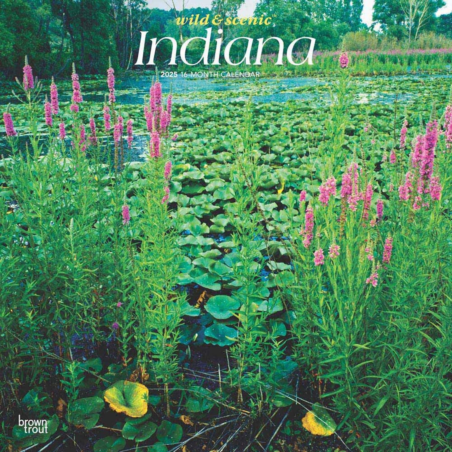 2025 BrownTrout Indiana Wild & Scenic 12 x 12 Monthly Wall Calendar (9781975474959)