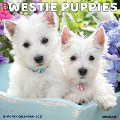 2027 Willow Creek Westie Puppies 12 x 12 Monthly Wall Calendar, Assorted Colors (62852)