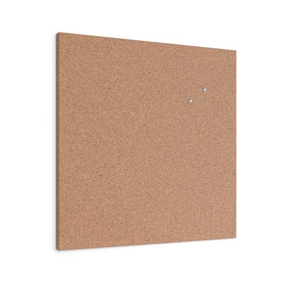 U Brands Cork Bulletin Board, Frameless, 2 x 2 (2874U00-01)