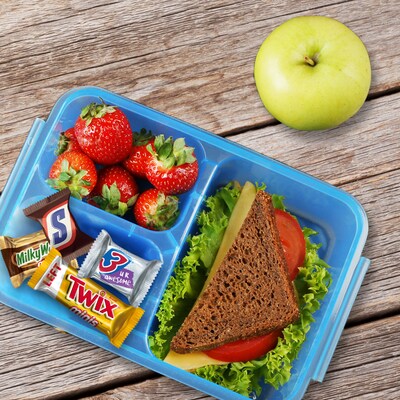 Mars Minis Milk Chocolate Candy Bars Variety Pack, 30.63 oz. (460690)