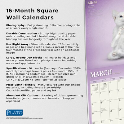 2025 Plato Yoga Kittens 12" x 12" Monthly  Wall Calendar (9781975480134)