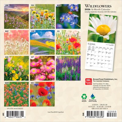 2026 BrownTrout Wildflowers 7 x 7 Monthly Wall Calendar (9798330706358)