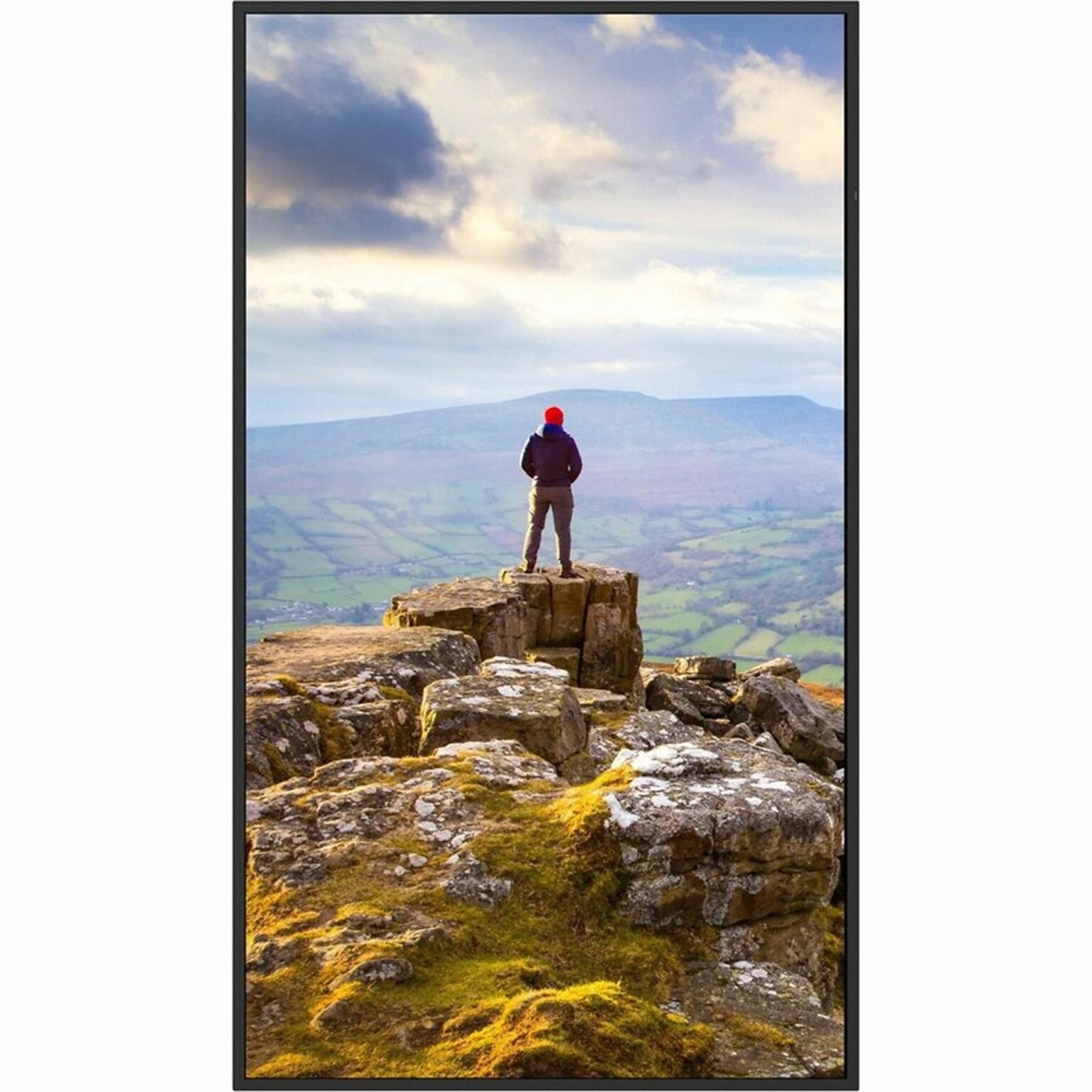 Sharp PN E 75 in. Wall-Mountable Monitor for Digital Signage (PN E759)