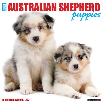 2027 Willow Creek Australian Shepherd Puppies 12 x 12 Monthly Wall Calendar, Assorted Colors (58923)