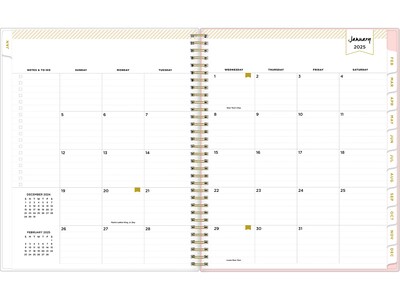 2025 Blue Sky Day Designer Roses Blush 8.5" x 11" Weekly & Monthly Planner, Plastic Cover, Multicolor (140092-25)