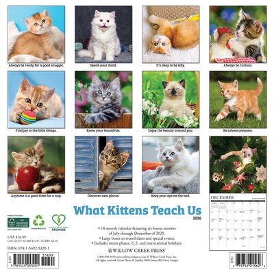 2026 Willow Creek What Kittens Teach Us 12 x 12 Monthly Wall Calendar (53201)